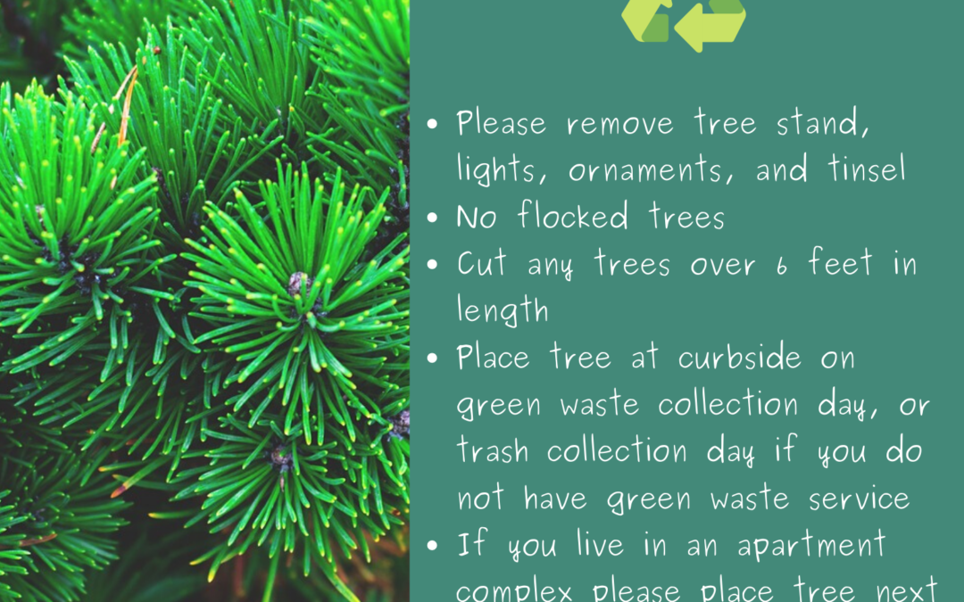 Christmas Tree Recycling Info